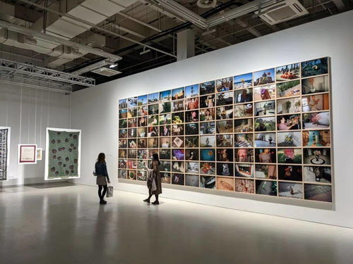 一个展览 奏响第13届上海双年展最强音
